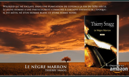 Le nègre marron : Un roman de Thierry Snagg