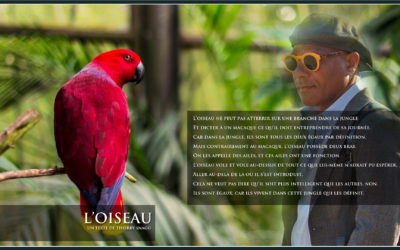 L’oiseau