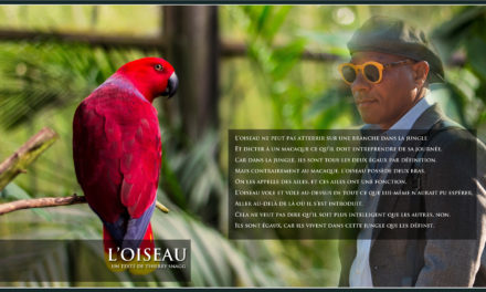 L’oiseau